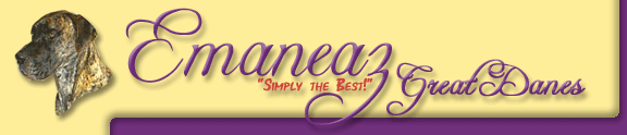 Emaneaz Great Danes     "Simply the best!"